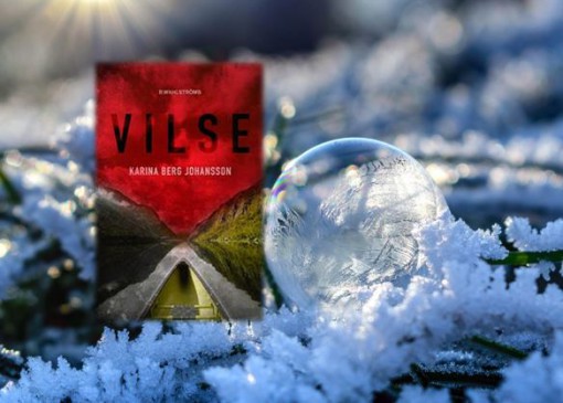 vilse_1