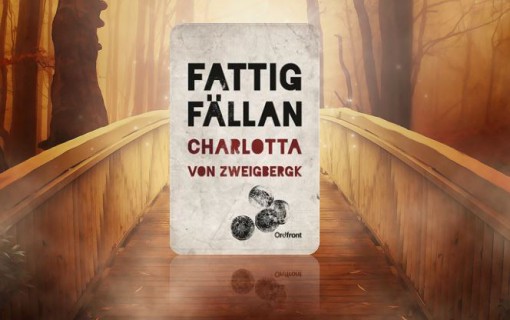 fattigfallan-1