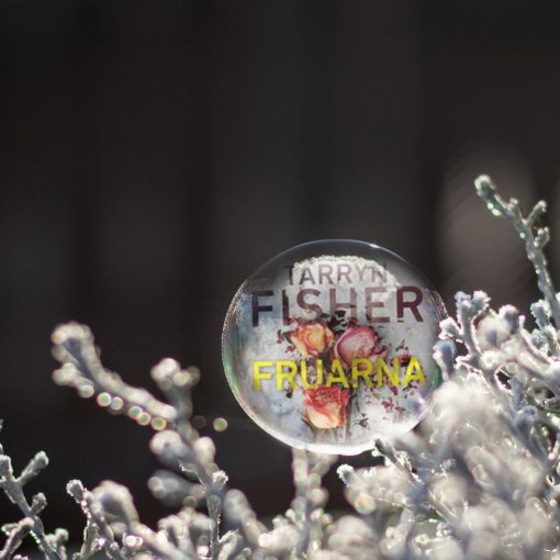 Omslaget till Fruarna av Tarryn Fisher i en frusen bubbla på en snötäckt gren.