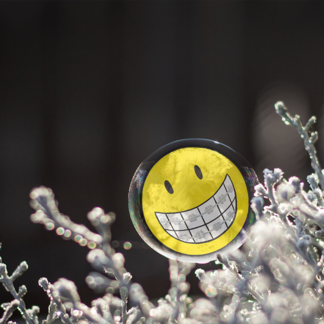 Omslaget till Smile: A Graphic Novel av Raina Telgemeier i en frusen bubbla på en snötäckt gren.