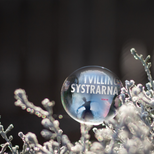 Omslaget till Tvillingsystrarna av Pauline Riccius i en frusen bubbla på en snötäckt gren.